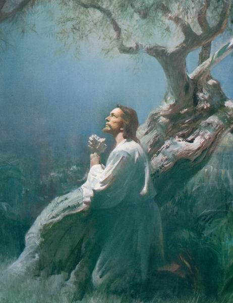 on the cross of Calvary, jesus christ on the cross of calvary. on the cross of Calvary,
