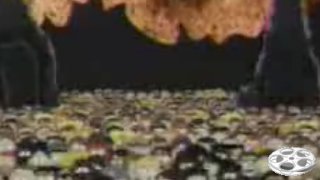 Mormon Video, Video28