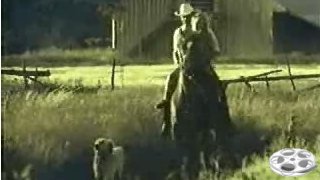 Mormon Video, Video61