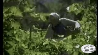 Video69