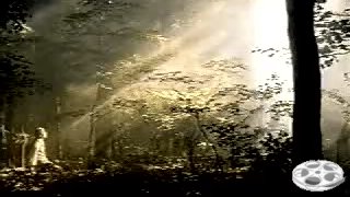 Video85