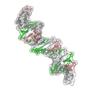 Uma molécula de DNA